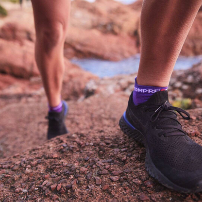 Tất chạy bộ Compressport Unisex's  Pro Racing Socks v4.0 Run Low - Tím (Purple/Paradise Green)