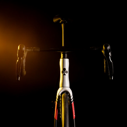 Xe đạp Colnago V5Rs - Team UAE Edition