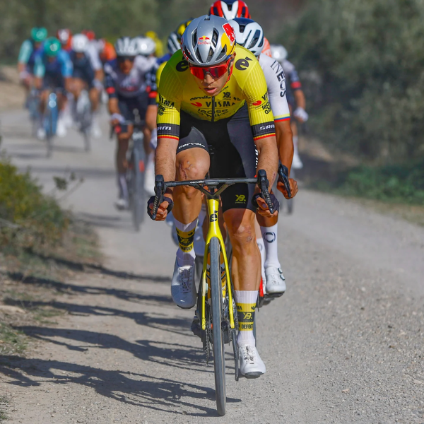 Áo đạp xe Nam Jersey SS Men Former Belgium Champion 2025 - Team Visma | Lease A Bike