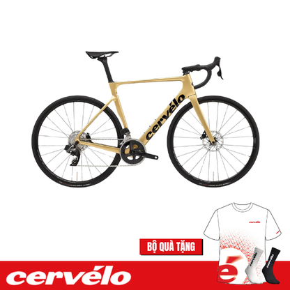 Xe đạp Road Cervélo SOLOIST Rival Etap AXS - Gold Dust