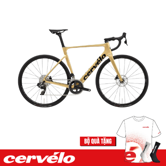 Xe đạp Road Cervélo SOLOIST Rival Etap AXS - Gold Dust