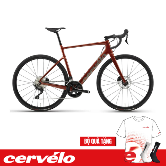 Xe đạp Cervélo Caledonia 105 - Deer Sunset