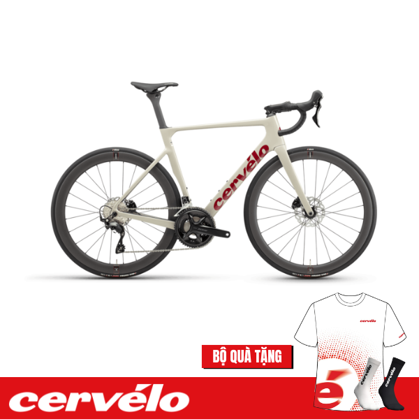 Xe đạp Road Cervélo Soloist 105 - Dried Amaranth