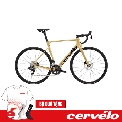Xe đạp Road Cervélo SOLOIST Rival Etap AXS - Gold Dust
