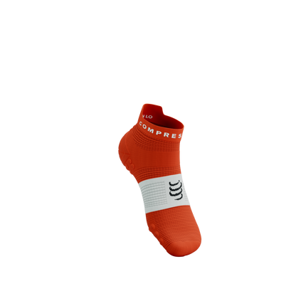 Tất Chạy Bộ Compressport Pro Racing Socks v4.0 Run Low - Cam Tigerlily/White