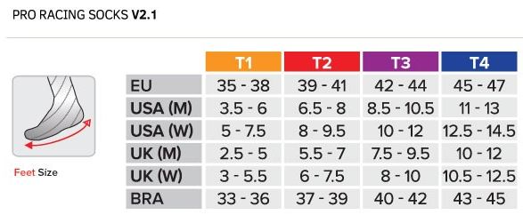 Tất chạy bộ Compressport Unisex's Pro Racing Socks Run High Flash - Đen (Black)