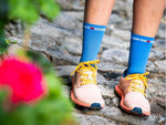 Compressport Unisex's Pro Racing Socks v4.0 Run High - Pacific Blue/Deco Rose